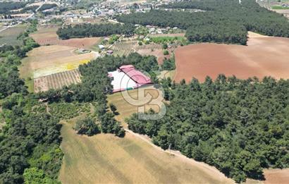 TORBALI DEMİRCİ MAHALLESİ’NDE OTOYOL YAKINI TARLA