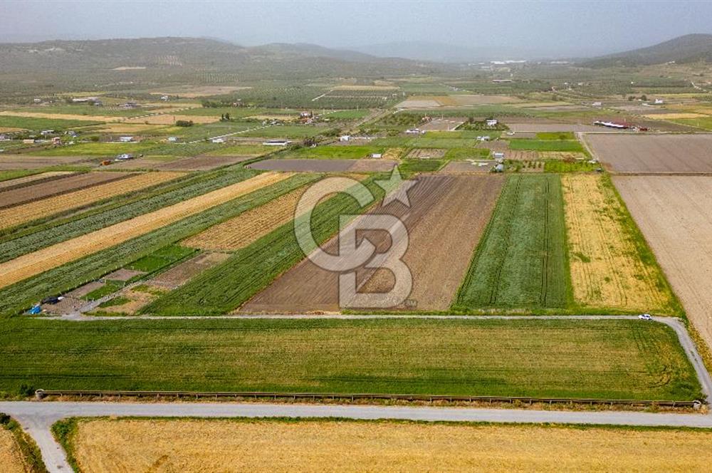 Foça Gerenköyde Satılık Tarla