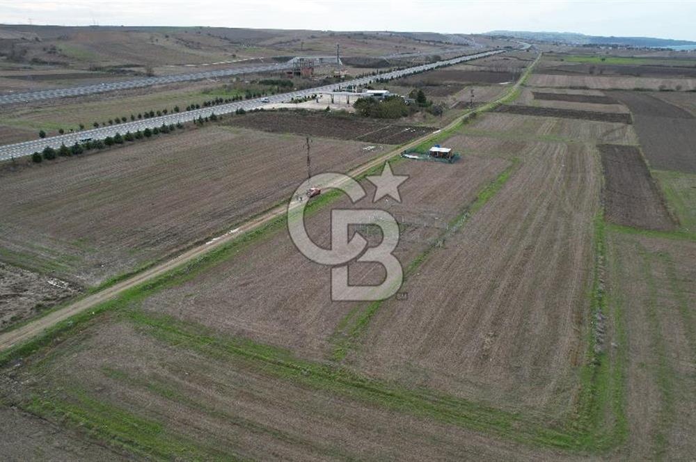 Çanakkale Gelibolu Bolayır Satılık Arsa 220m2