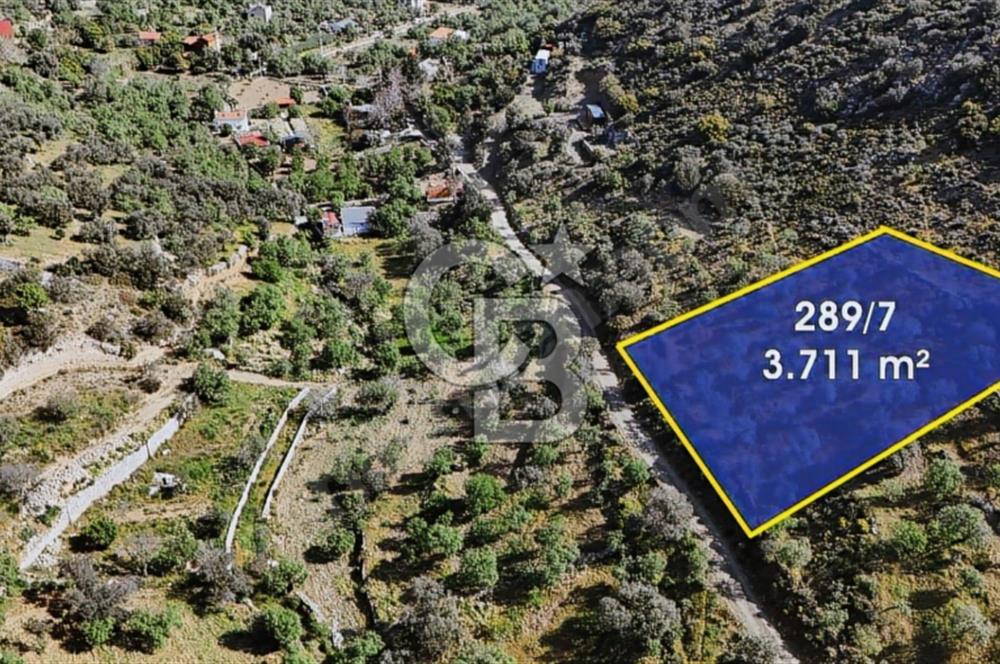 Satılık Datça Cumalı Köy 3711m2 Yatırımlık Arsa