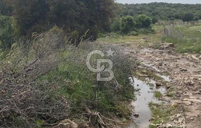 Dikili Katıralanı Mahallesinde Satılık Tarla