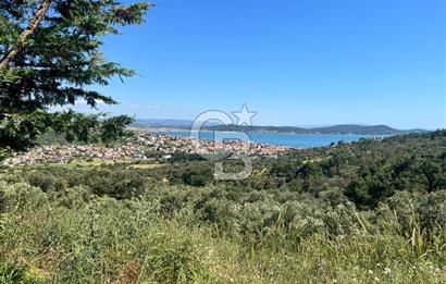 Ayvalık Cunda Adasında ortunç'ta satılık tarla 