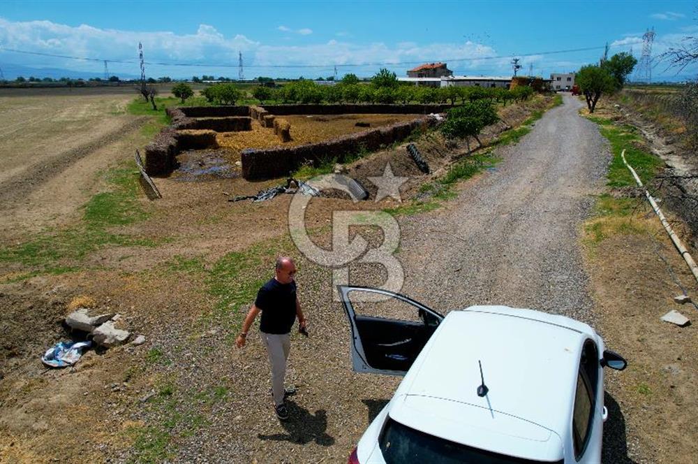 Menemen Koyundere'de Tek Parsel Satılık Arazi