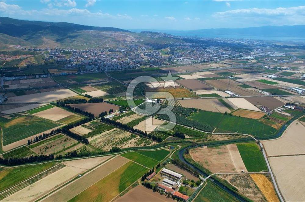 Menemen Koyundere'de Tek Parsel Satılık Arazi