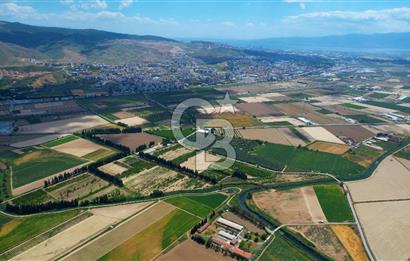 Menemen Koyundere'de Tek Parsel Satılık Arazi