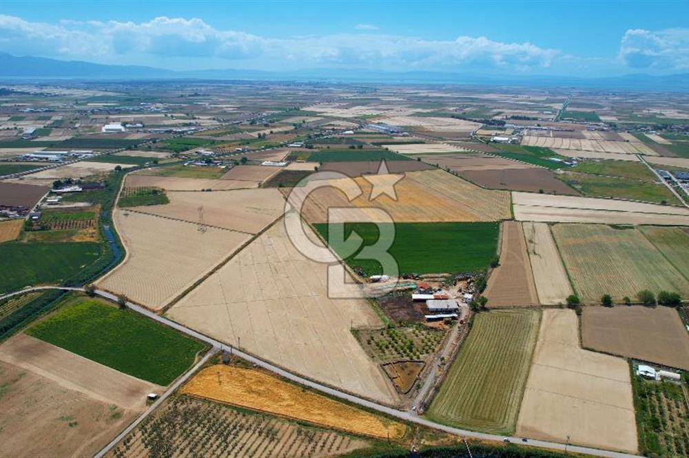 Menemen Koyundere'de Tek Parsel Satılık Arazi