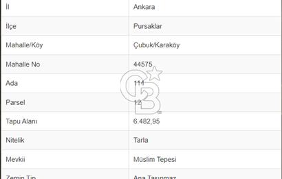 Fırsat! PURSAKLAR'da MÜSTAKİL TAPULU SATILIK 6482,95 M² TARLA