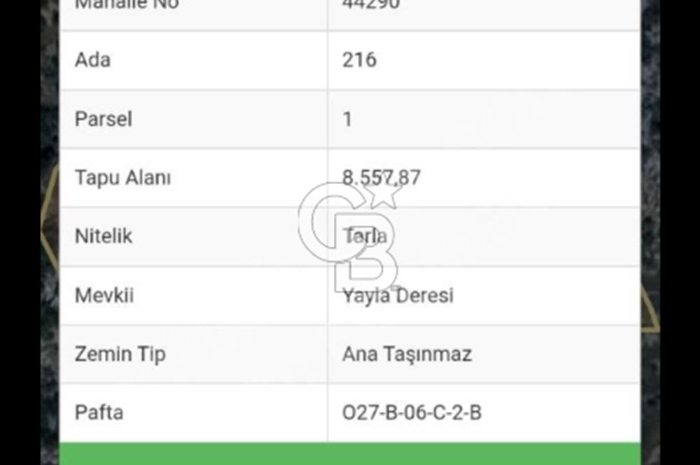 Antalya da satılık yatırımlık tarla