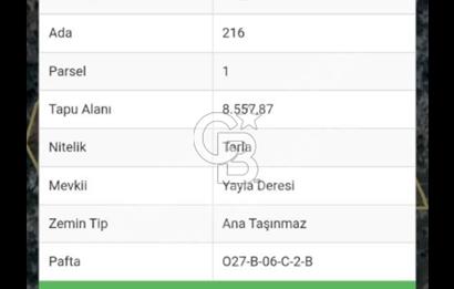 Antalya da satılık yatırımlık tarla