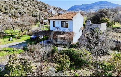 Farmhouse for rent in Yazikoy, Datca