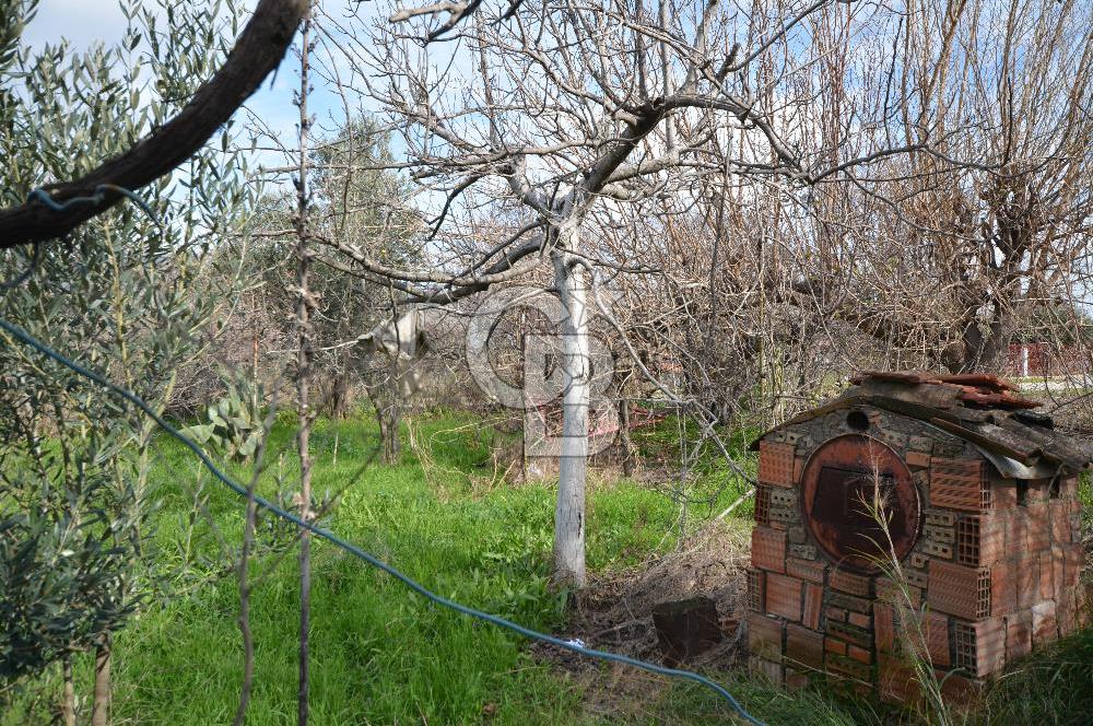 Menemen Emiralem Yayla Mahallesinde Satılık Arsa