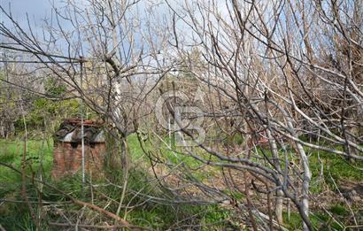 Menemen Emiralem Yayla Mahallesinde Satılık Arsa