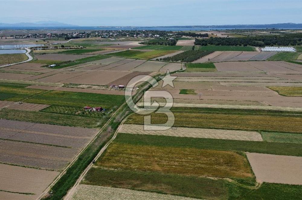 ÇANAKKALE HALİLELİ 'NDE SATILIK YATIRIMLIK TARLA