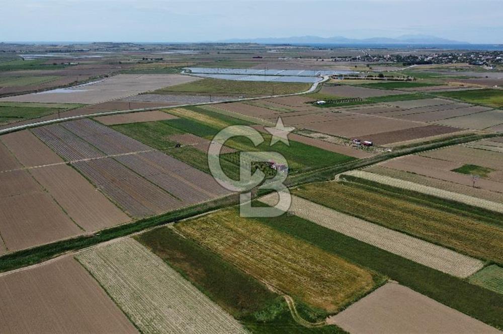 ÇANAKKALE HALİLELİ 'NDE SATILIK YATIRIMLIK TARLA