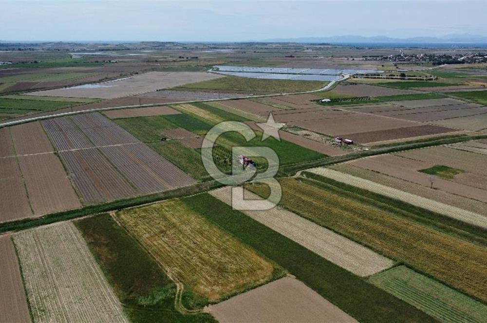 ÇANAKKALE HALİLELİ 'NDE SATILIK YATIRIMLIK TARLA