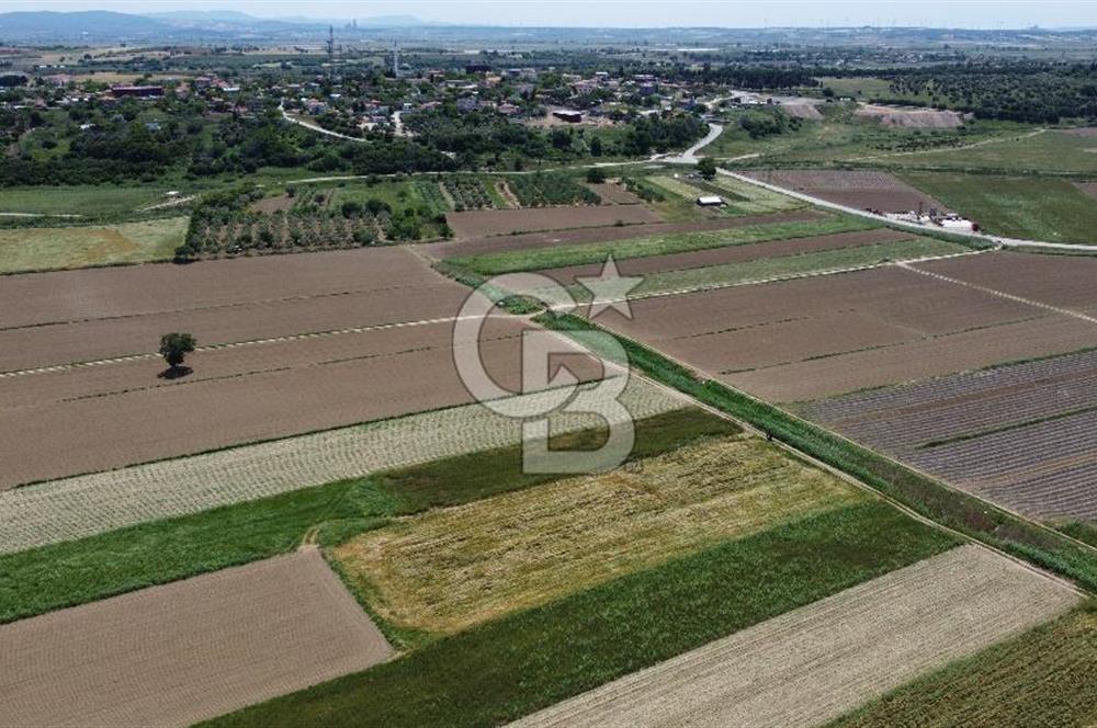 ÇANAKKALE HALİLELİ 'NDE SATILIK YATIRIMLIK TARLA