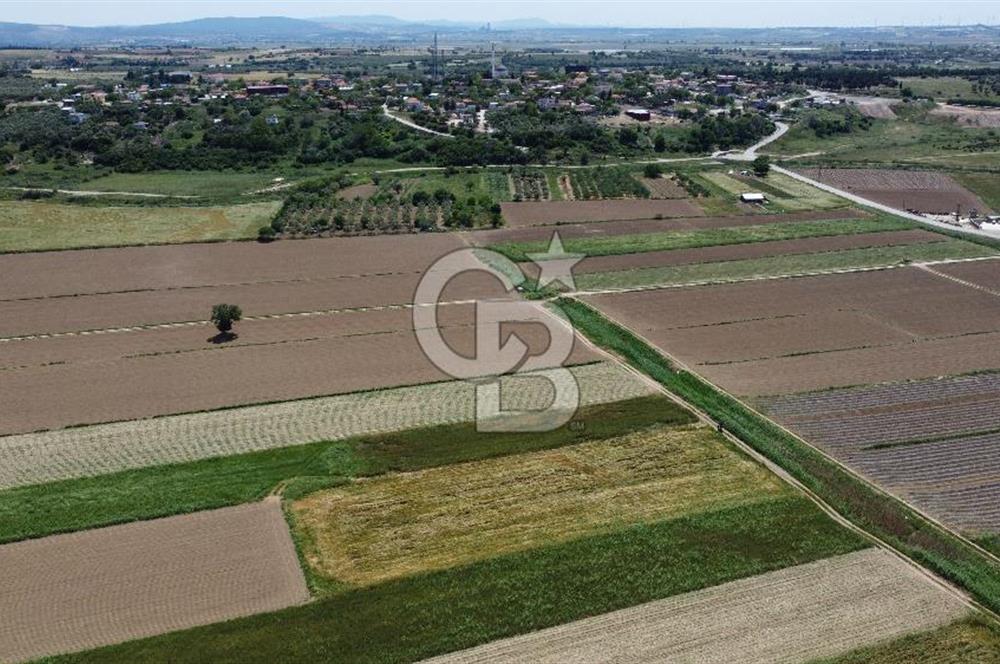 ÇANAKKALE HALİLELİ 'NDE SATILIK YATIRIMLIK TARLA