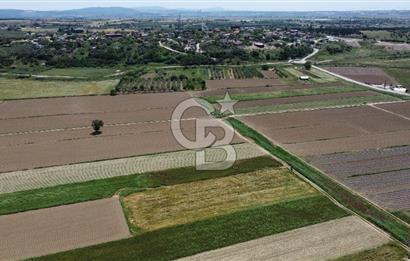 ÇANAKKALE HALİLELİ 'NDE SATILIK YATIRIMLIK TARLA