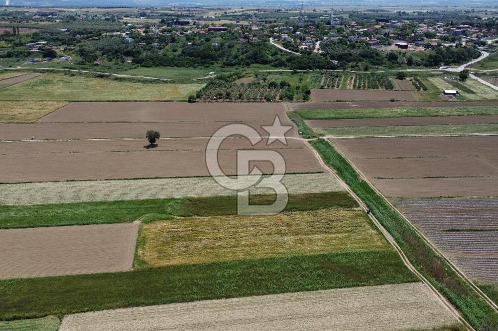 ÇANAKKALE HALİLELİ 'NDE SATILIK YATIRIMLIK TARLA