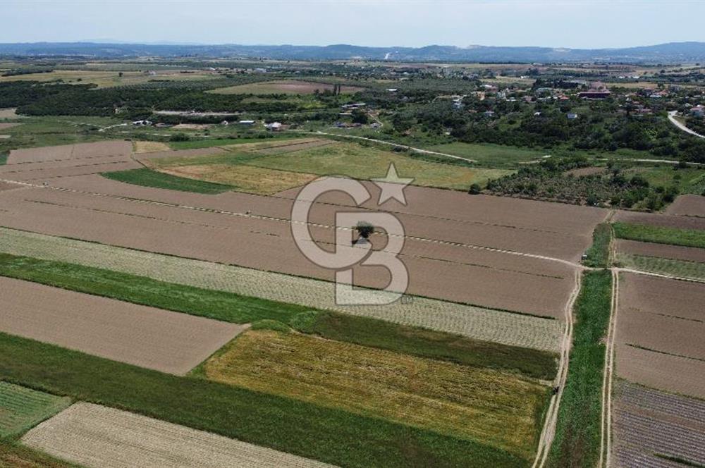 ÇANAKKALE HALİLELİ 'NDE SATILIK YATIRIMLIK TARLA