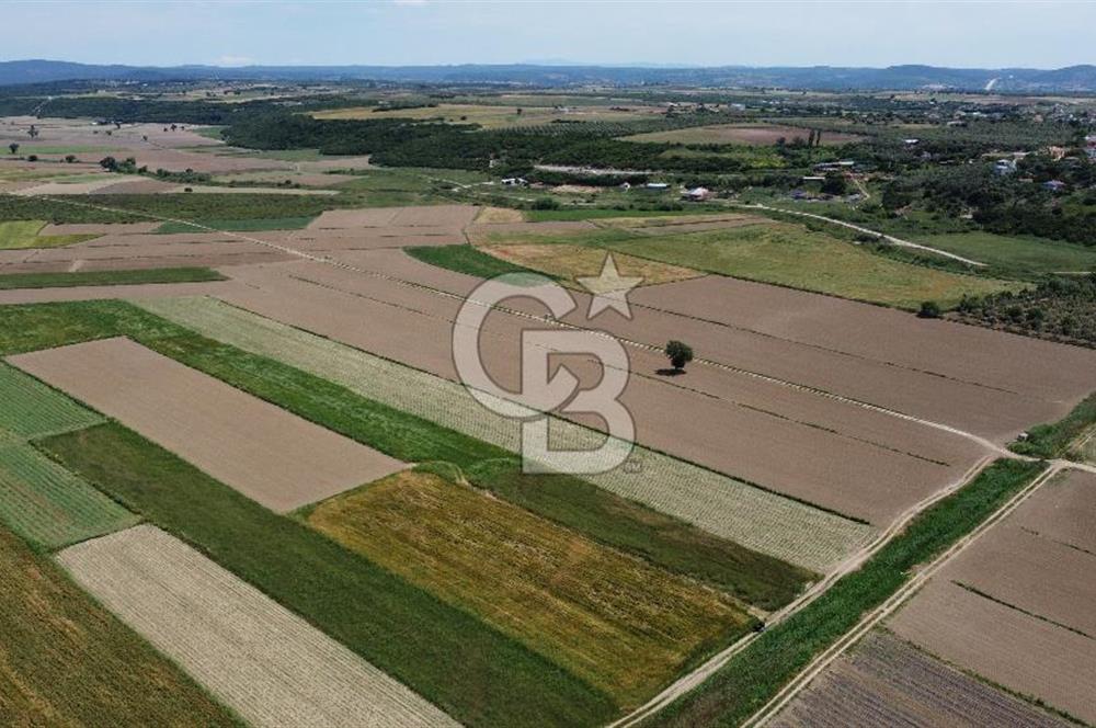 ÇANAKKALE HALİLELİ 'NDE SATILIK YATIRIMLIK TARLA