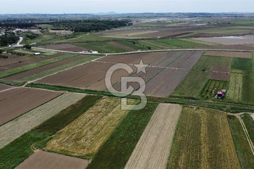 ÇANAKKALE HALİLELİ 'NDE SATILIK YATIRIMLIK TARLA