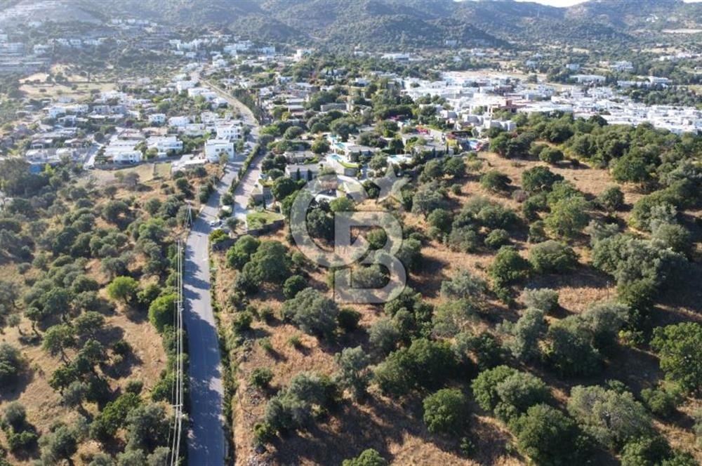 Bodrum Ortakentte Satılık 10 Dönüm Arazi