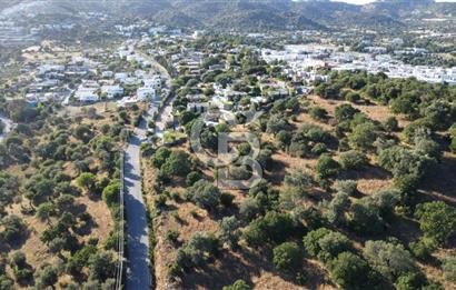 Bodrum Ortakentte Satılık 10 Dönüm Arazi