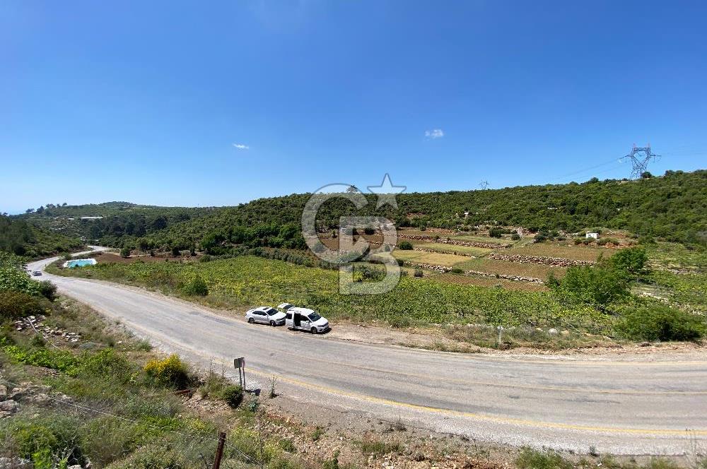 Mersin Erdemli Esenpınar Satılık Kivi Bahçesi