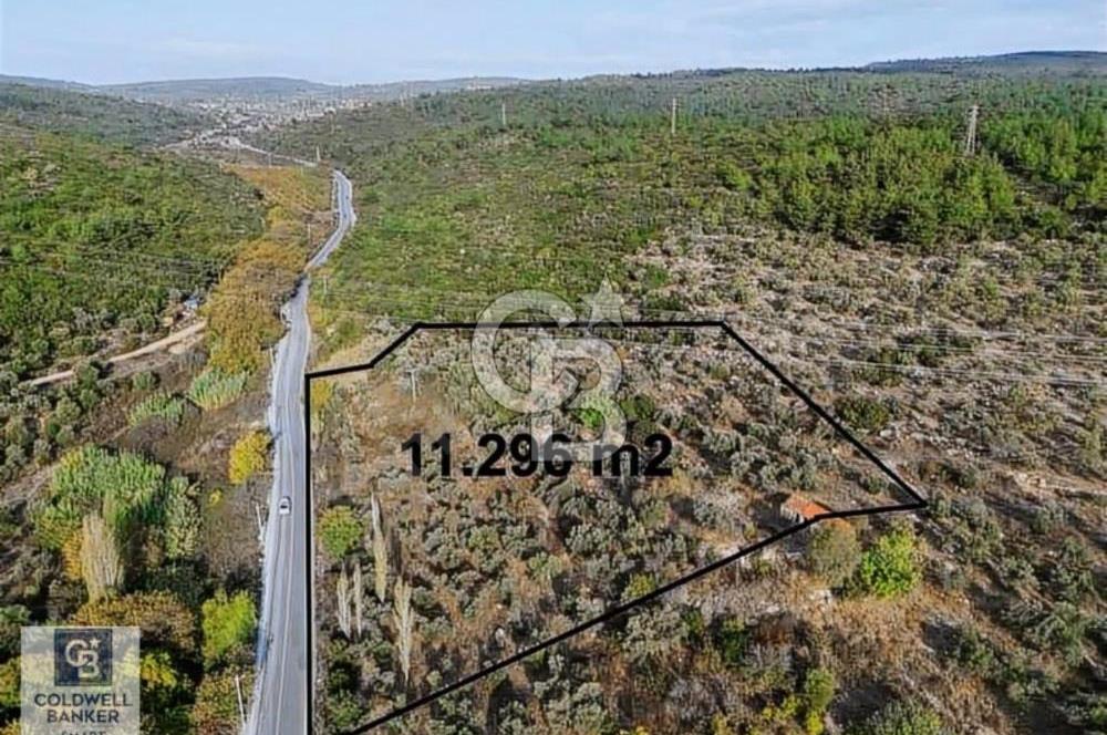 Urla Bademlerde 150 metre Yol Cepheli Satılık Arazi