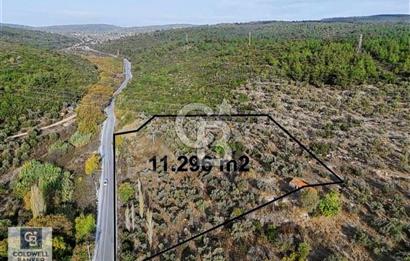 Urla Bademlerde 150 metre Yol Cepheli Satılık Arazi