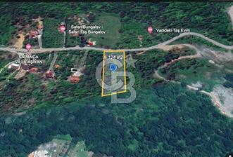Sapanca’da Yatırımlık 6.124m2 Satılık Fındık Bahçesi