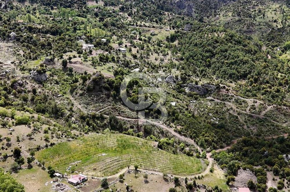 Antalya Kuzca'da Satılık Tarla