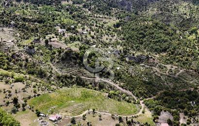 Antalya Kuzca'da Satılık Tarla