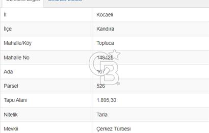 Kandıra Toplucada Yatırımlık Fırsat Tarla