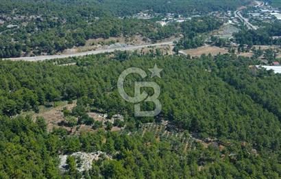 Antalya Tekirova'da Doğanın İçinde Satılık Tarla