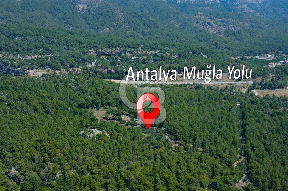 Antalya Tekirova'da Doğanın İçinde Satılık Tarla