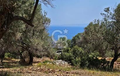 İzmir Karaburun Eğlenhoca'da Deniz Manzaralı Tarla