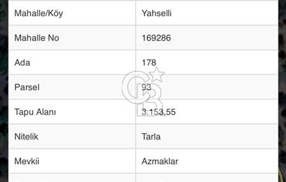 MENEMEN YAHŞELLİ DE YATIRIMLIK BAĞ BAHÇE