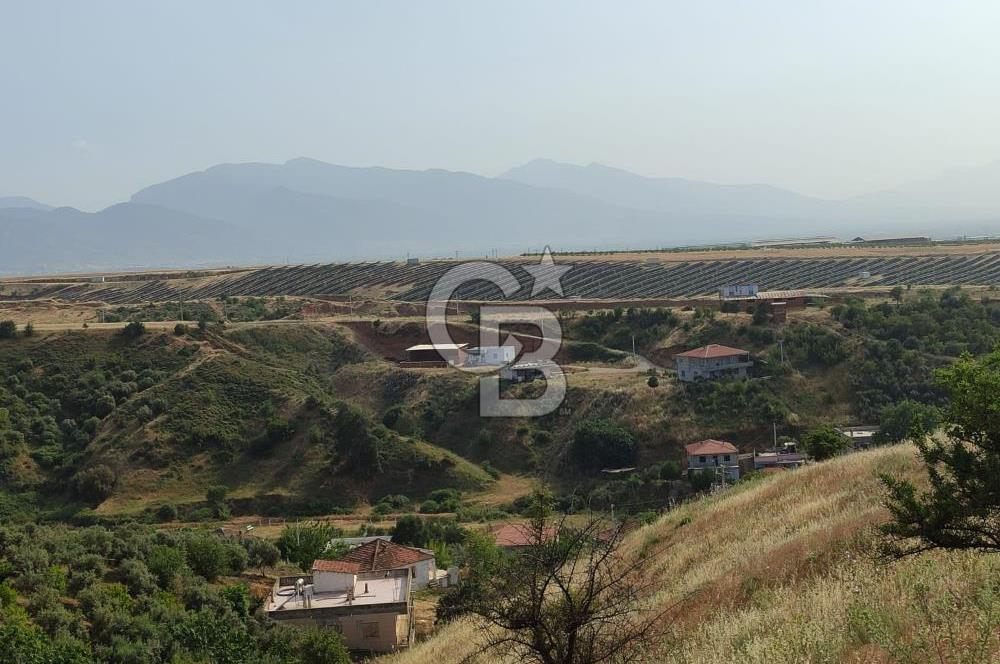 Manisa Turgutlu Çepnidere Yatırımlık Tarla