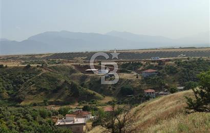 Manisa Turgutlu Çepnidere Yatırımlık Tarla