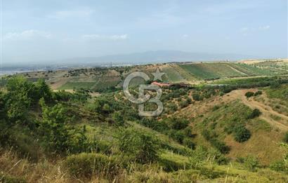 Manisa Turgutlu Çepnidere Yatırımlık Tarla