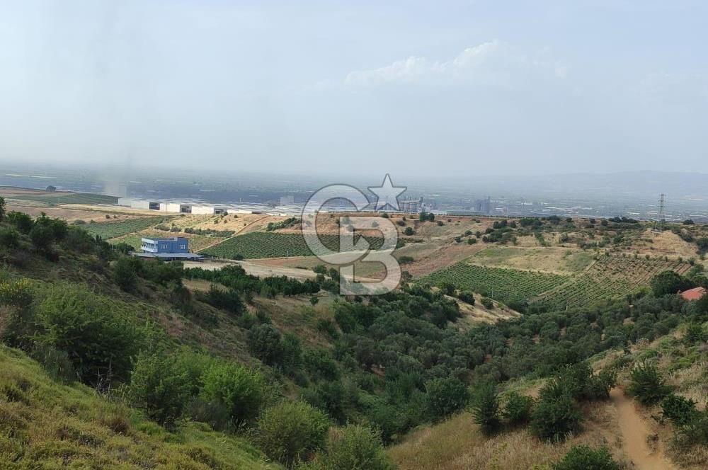 Manisa Turgutlu Çepnidere Yatırımlık Tarla