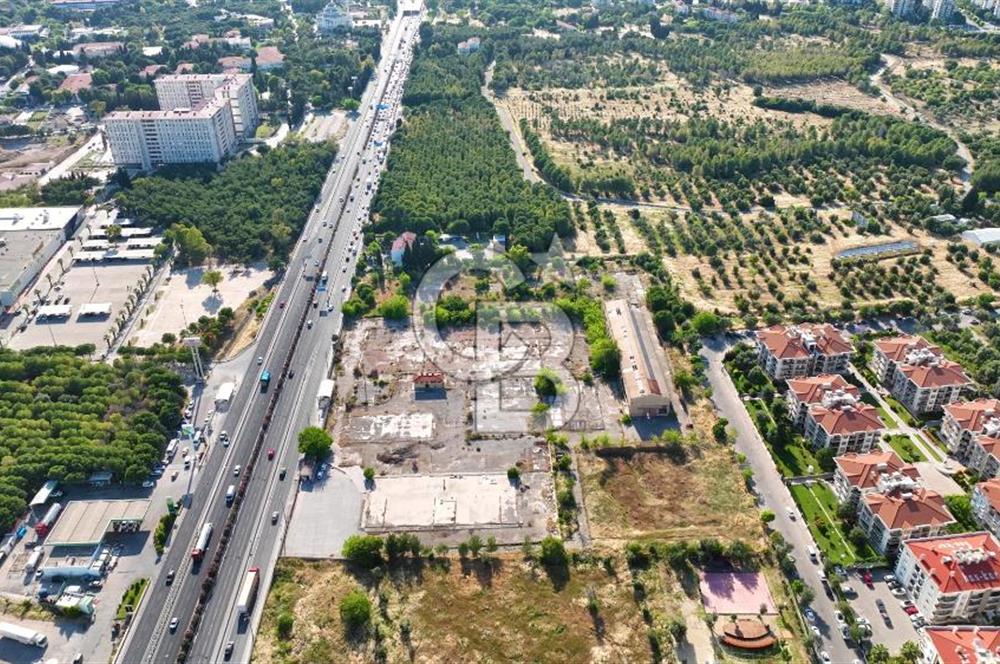 İzmir Bornova Erzene Merkezi Konumlu Satılık Ticari İmarlı Arsa
