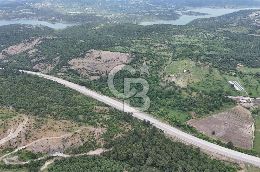 Çanakkale Ayvacık Ahmetçe'de Assos Bölgesinde 9.087m2 Arazi