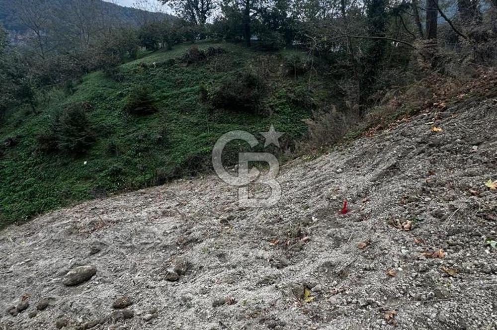 SAPANCA FEVZİYE MAHALLESİNDE 1226 M2 SATILIK MEYVE VE FINDIK BAHÇESİ