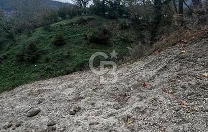 SAPANCA FEVZİYE MAHALLESİNDE 1226 M2 SATILIK MEYVE VE FINDIK BAHÇESİ