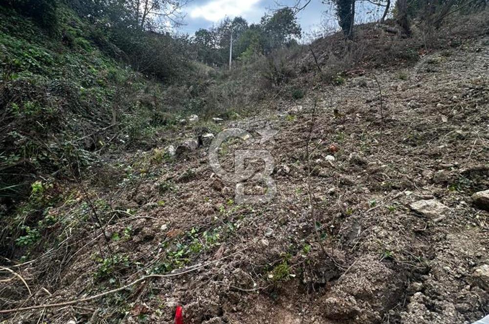 SAPANCA FEVZİYE MAHALLESİNDE 1226 M2 SATILIK MEYVE VE FINDIK BAHÇESİ