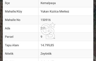 KEMALPAŞA YUKARIKIZILCA MERKEZDE SATILIK ZEYTİNLİK