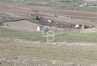 İmar Sınırında Tek Tapu Satılık Yatırımlık Arsa